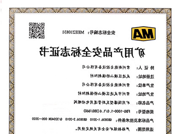 瓦斯阀煤安证_FBG1000