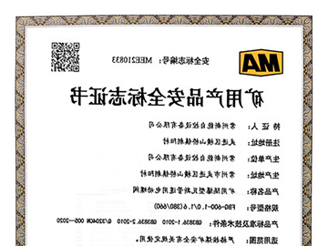 瓦斯阀煤安证_FBG600